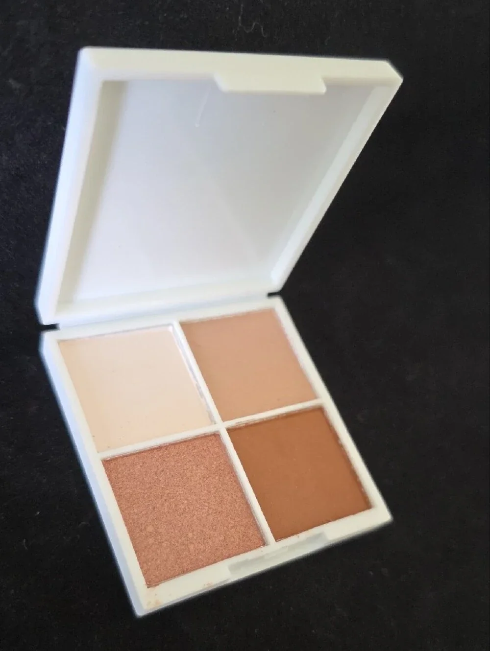 ORYZA Beauty Precious Platinum Shimmer Eyeshadow - Platinum Palette